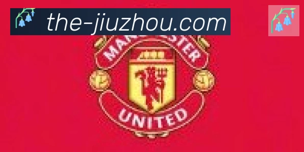 九州体育合作伙伴